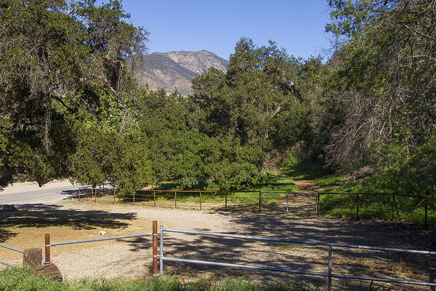 Ojai Road Ranch for Sale