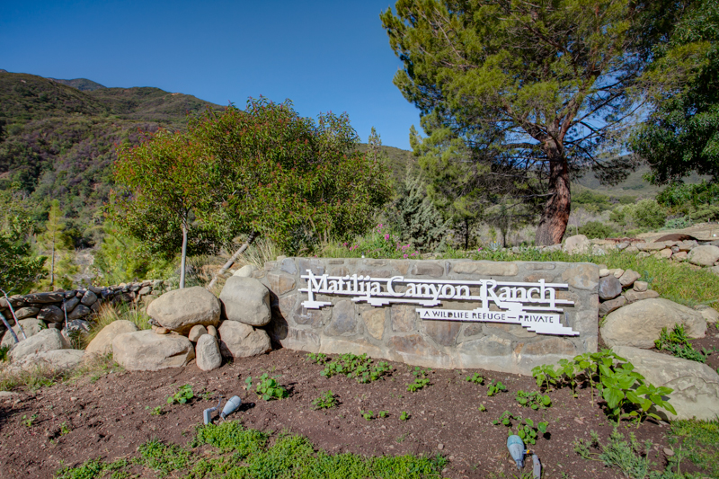 Matilija Canyon Ranch Sign